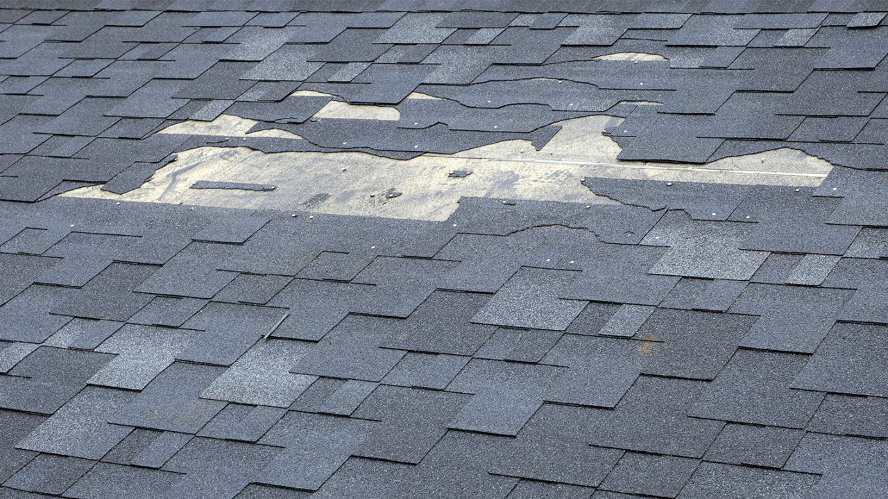 blown off shingles on a home