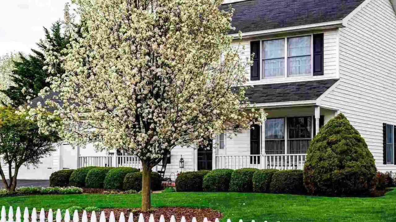 white colonial home with white picket fence